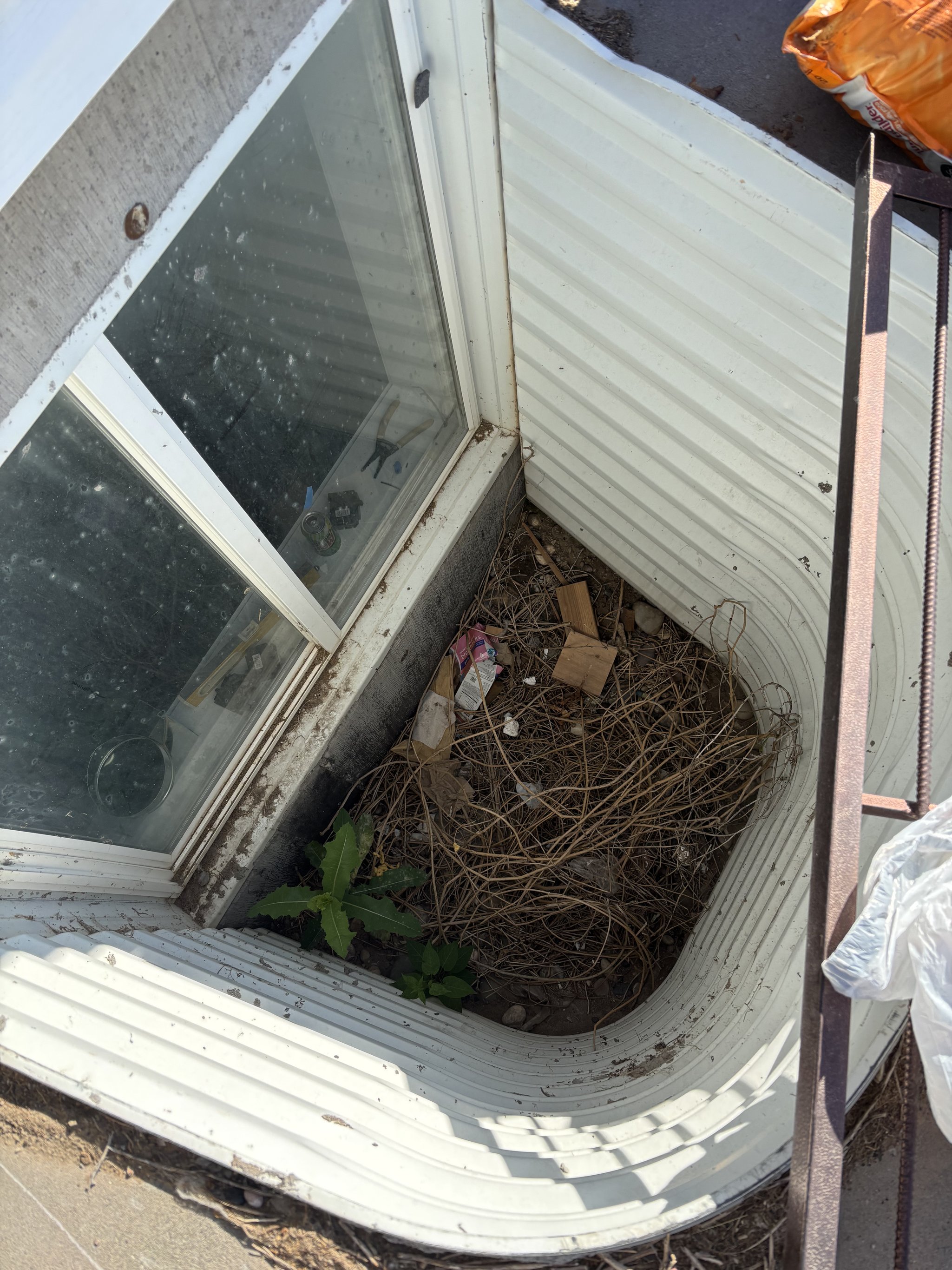 Basement window well filled with leaves and debris