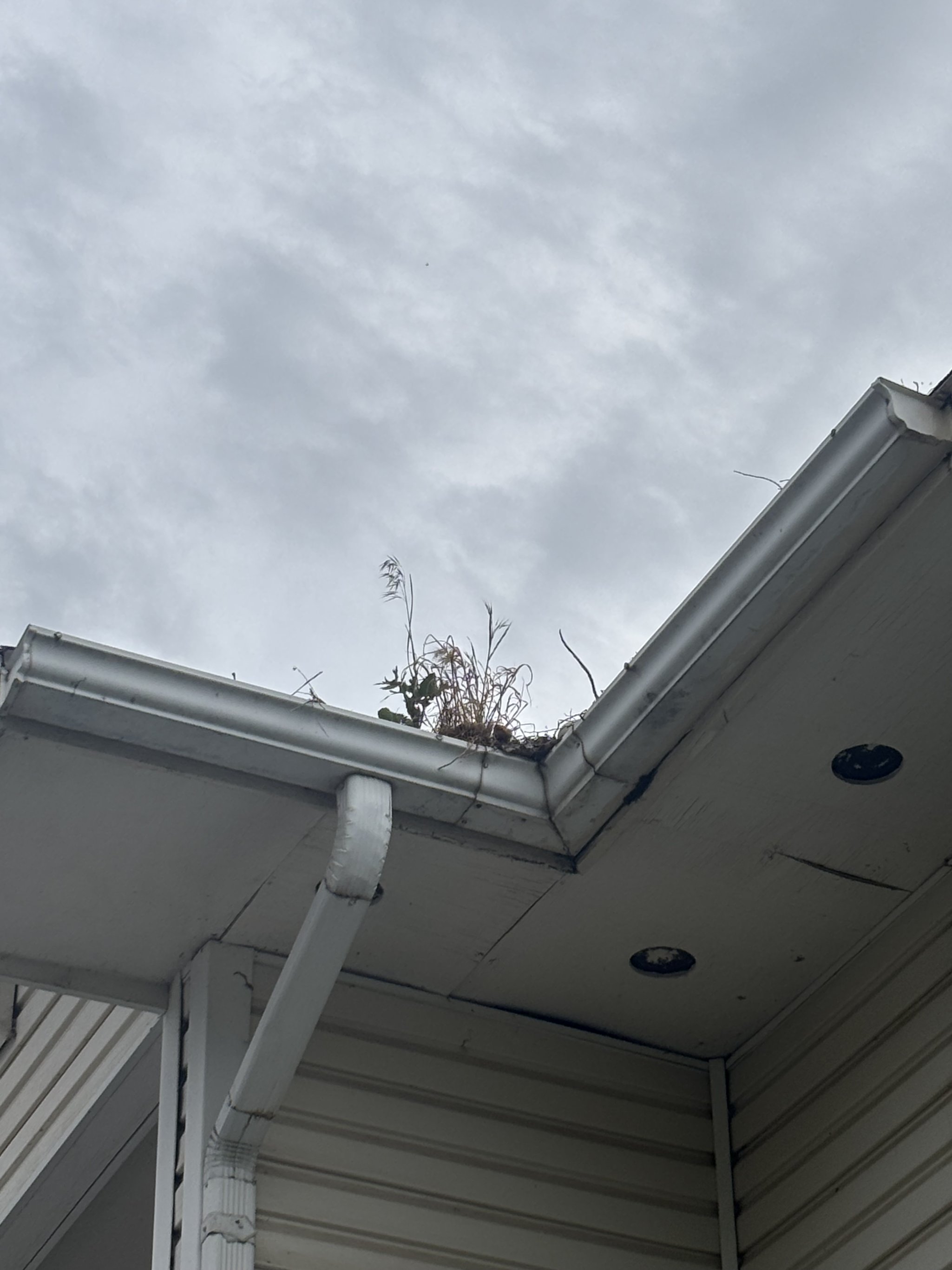 Person on a ladder cleaning a house gutter