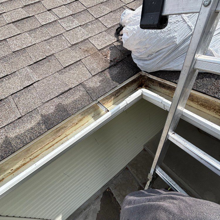 Exterior cleaning services in Idaho Falls, ID