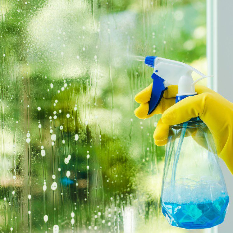 Exterior cleaning services in Idaho Falls, ID